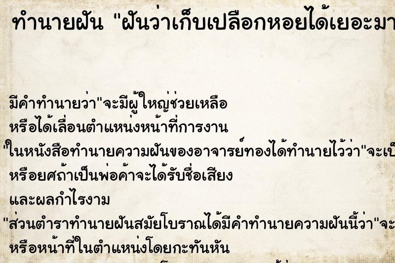 ทำนายฝัน ฝันว่าเก็บเปลือกหอยได้เยอะมาก ทำนายฝัน ฝันว่าเก็บเปลือกหอยได้เยอะมาก