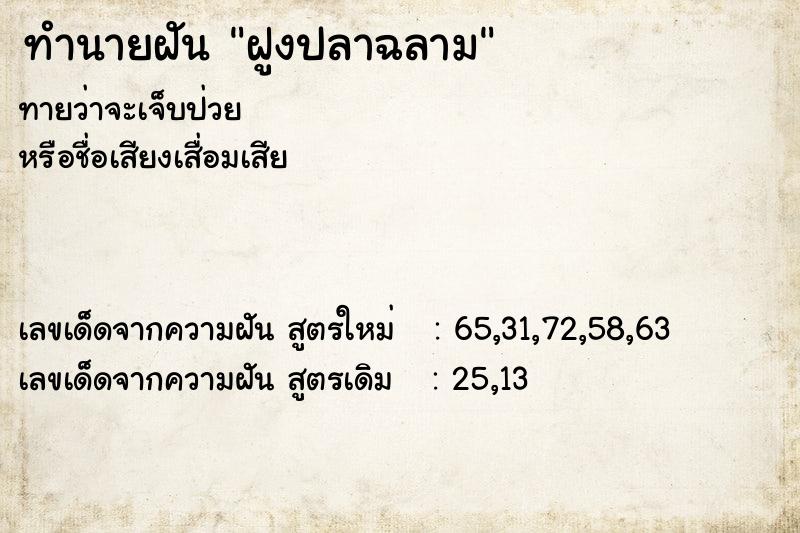 ทำนายฝัน ฝูงปลาฉลาม ตำราโบราณ แม่นที่สุดในโลก