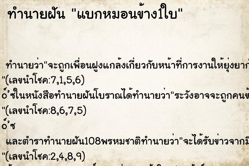 ทำนายฝันแบกหมอนข้าง1ใบ ทำนายฝันทำนายฝันแบกหมอนข้าง1ใบ
