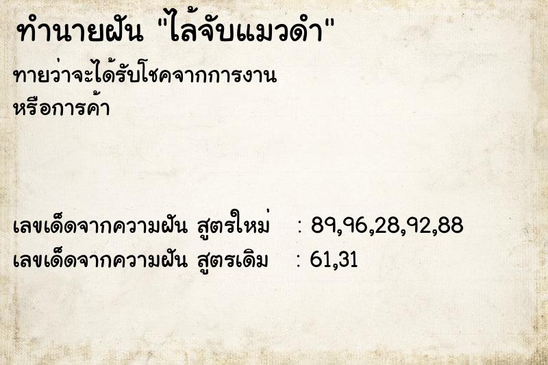 ทำนายฝัน ไล้จับแมวดำ ทำนายฝัน ไล้จับแมวดำ