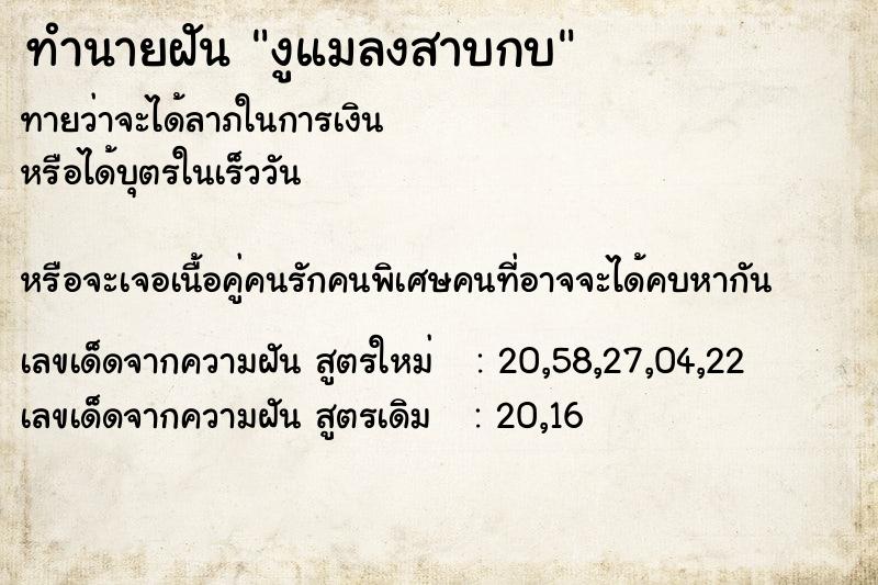 ทำนายฝันงูแมลงสาบกบ ทำนายฝันทำนายฝันงูแมลงสาบกบ