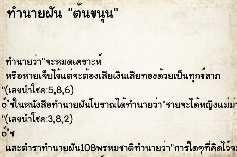 ทำนายฝัน ต้นขนุน ทำนายฝัน ต้นขนุน