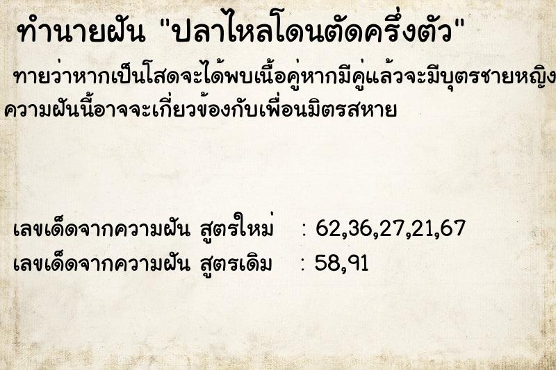 ทำนายฝันปลาไหลโดนตัดครึ่งตัว ทำนายฝันทำนายฝันปลาไหลโดนตัดครึ่งตัว