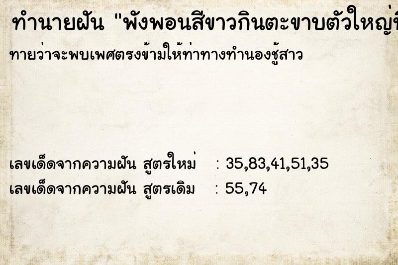 ทำนายฝันทำนายฝันพังพอนสีขาวกินตะขาบตัวใหญ่ที่เกาะแขน