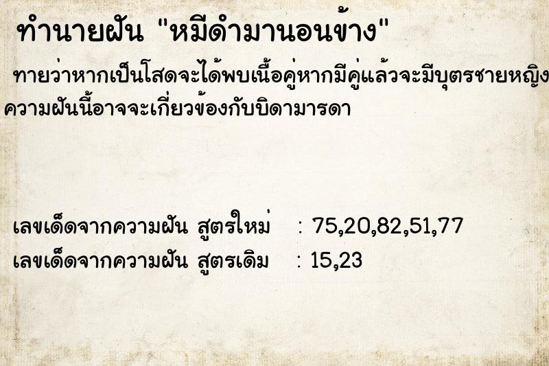 ทำนายฝันหมีดำมานอนข้าง ทำนายฝันทำนายฝันหมีดำมานอนข้าง