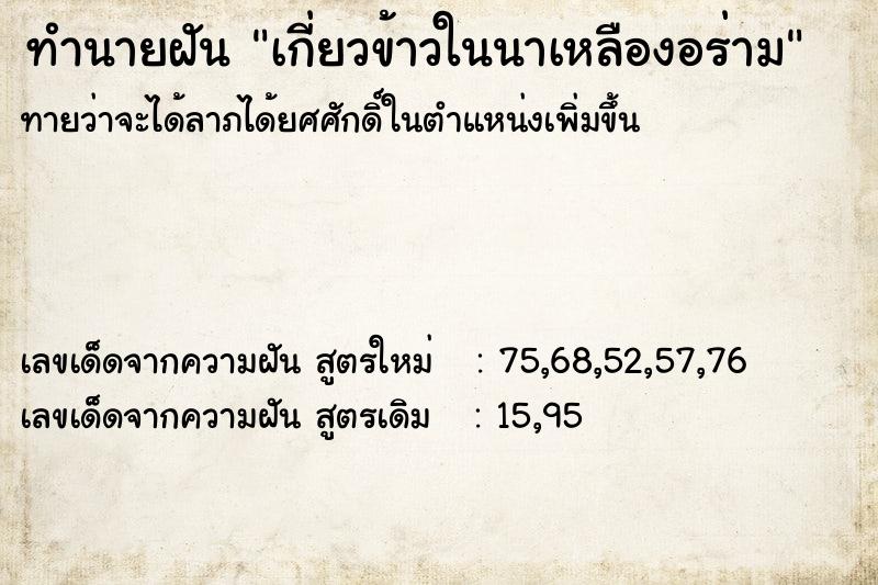 ทำนายฝันทำนายฝันเกี่ยวข้าวในนาเหลืองอร่าม