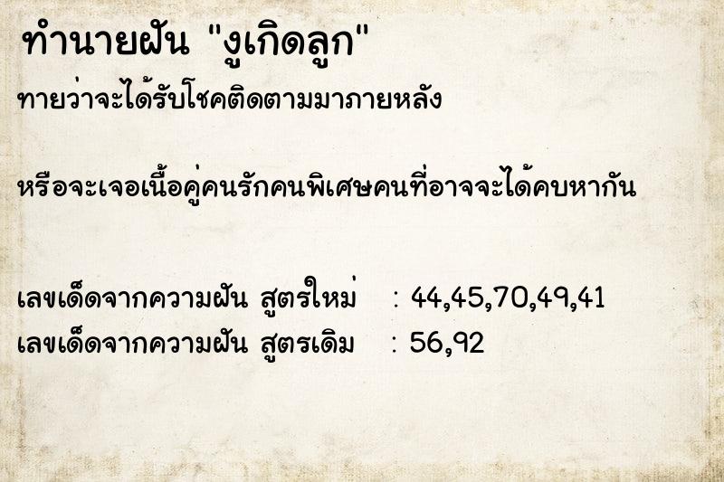 ทำนายฝัน งูเกิดลูก ทำนายฝัน งูเกิดลูก