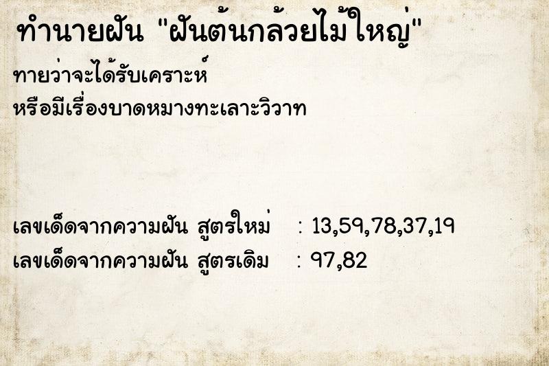 ทำนายฝันฝันต้นกล้วยไม้ใหญ่ ทำนายฝันทำนายฝันฝันต้นกล้วยไม้ใหญ่