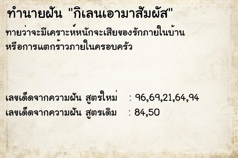 ทำนายฝันกิเลนเอามาสัมผัส ทำนายฝันทำนายฝันกิเลนเอามาสัมผัส