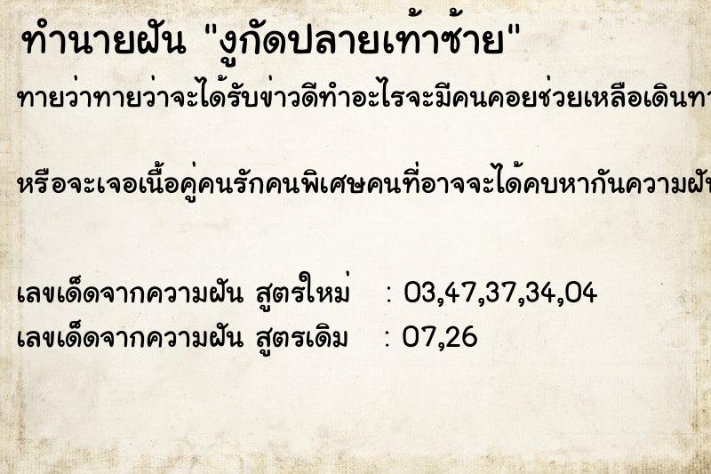 ทำนายฝันงูกัดปลายเท้าซ้าย ทำนายฝันทำนายฝันงูกัดปลายเท้าซ้าย