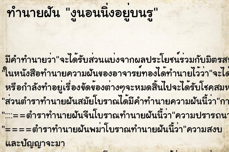 ทำนายฝันงูนอนนิ่งอยู่บนรู ทำนายฝันทำนายฝันงูนอนนิ่งอยู่บนรู