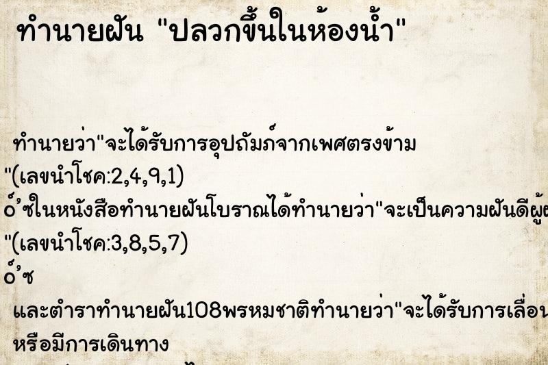 ทำนายฝัน ปลวกขึ้นในห้องน้ำ ทำนายฝัน ปลวกขึ้นในห้องน้ำ