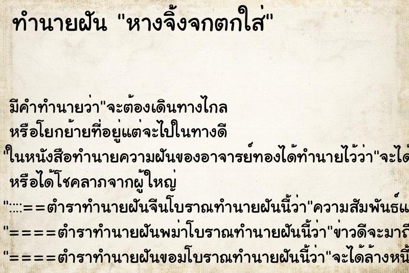 ทำนายฝัน หางจิ้งจกตกใส่ ทำนายฝัน หางจิ้งจกตกใส่