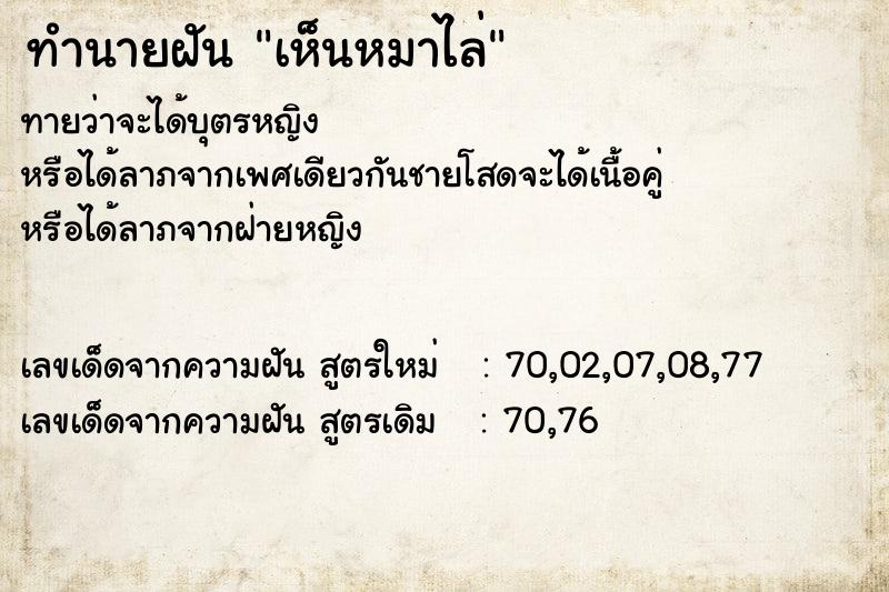 ทำนายฝันเห็นหมาไล่ ทำนายฝันทำนายฝันเห็นหมาไล่