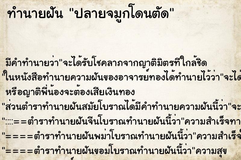 ทำนายฝัน ปลายจมูกโดนตัด ทำนายฝัน ปลายจมูกโดนตัด