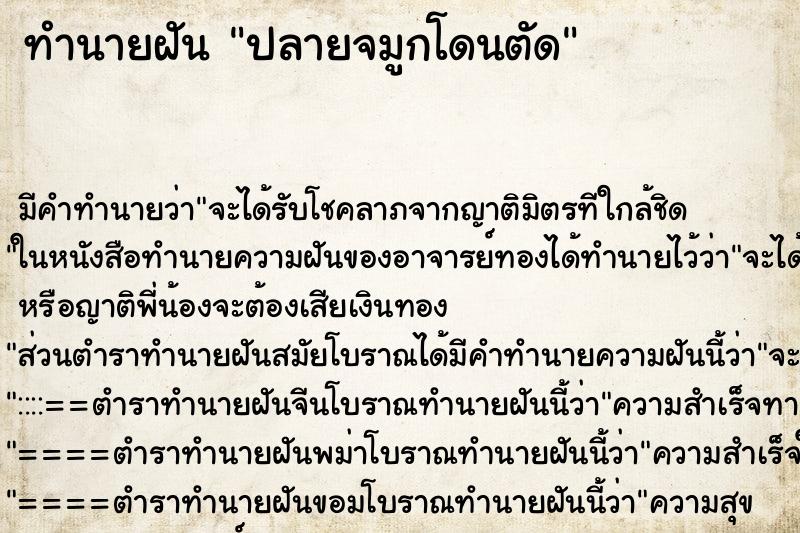 ทำนายฝัน ปลายจมูกโดนตัด ตำราโบราณ แม่นที่สุดในโลก