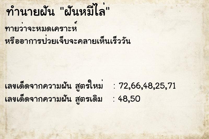ทำนายฝันฝันหมีไล่ ทำนายฝันทำนายฝันฝันหมีไล่
