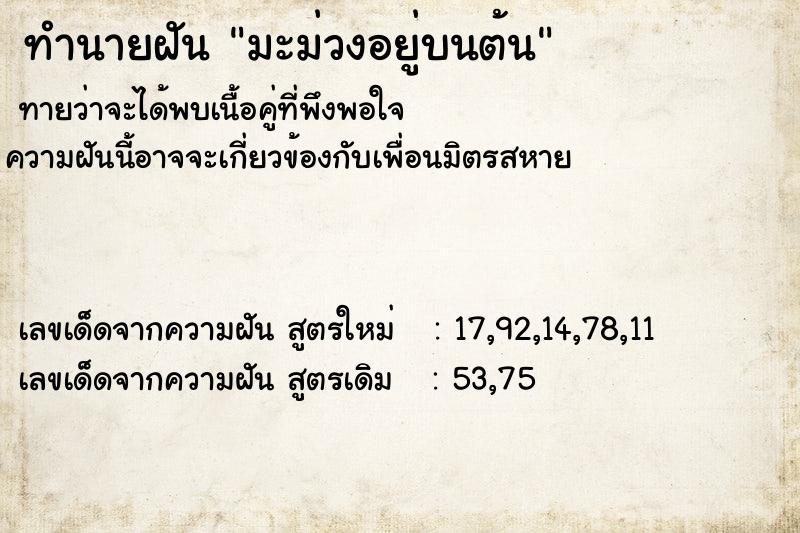 ทำนายฝัน มะม่วงอยู่บนต้น ทำนายฝัน มะม่วงอยู่บนต้น