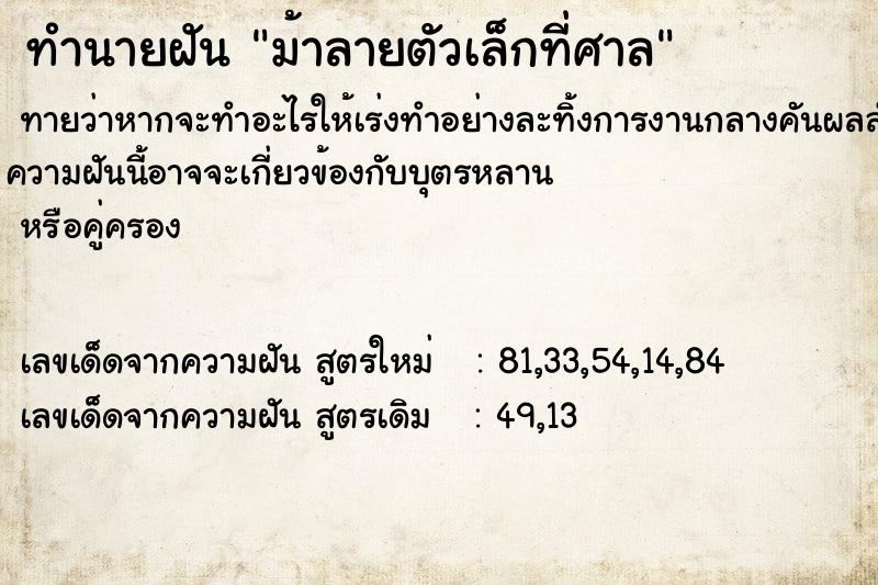 ทำนายฝันม้าลายตัวเล็กที่ศาล ทำนายฝันทำนายฝันม้าลายตัวเล็กที่ศาล
