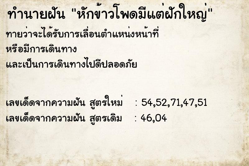 ทำนายฝันหักข้าวโพดมีแต่ฝักใหญ่ ทำนายฝันทำนายฝันหักข้าวโพดมีแต่ฝักใหญ่