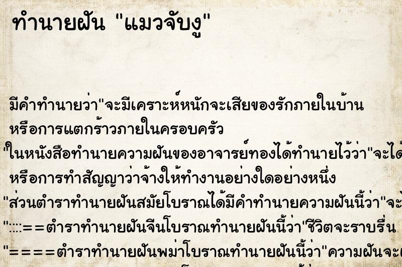 ทำนายฝัน แมวจับงู ทำนายฝัน แมวจับงู