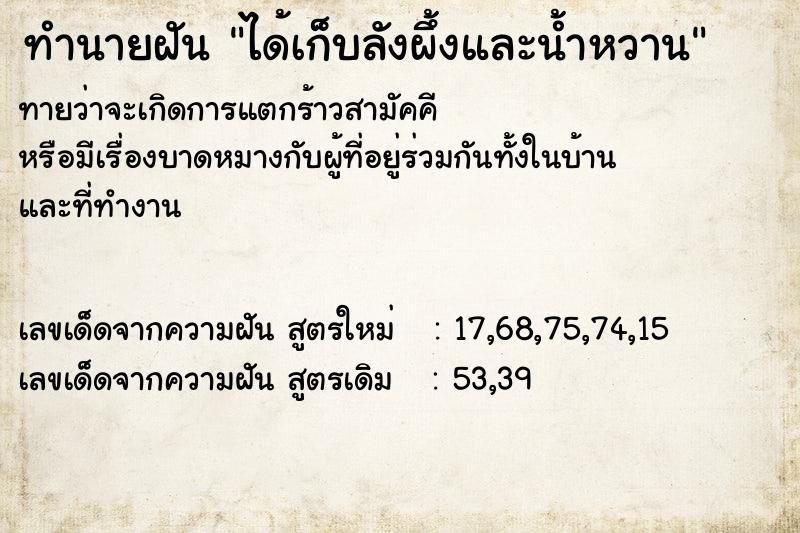 ทำนายฝันได้เก็บลังผึ้งและน้ำหวาน ทำนายฝันทำนายฝันได้เก็บลังผึ้งและน้ำหวาน
