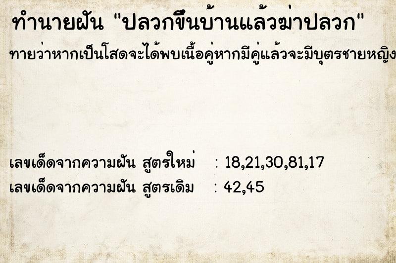ทำนายฝันทำนายฝันปลวกขึืนบ้านแล้วฆ่าปลวก