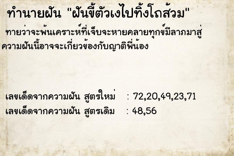 ทำนายฝันฝันขี้ตัวเงไปทิ้งโถส้วม ทำนายฝันทำนายฝันฝันขี้ตัวเงไปทิ้งโถส้วม