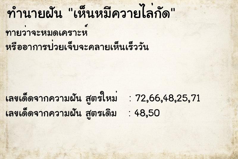ทำนายฝันทำนายฝันเห็นหมีควายไล่กัด
