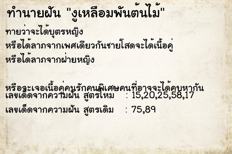 ทำนายฝันงูเหลือมพันต้นไม้ ทำนายฝันทำนายฝันงูเหลือมพันต้นไม้