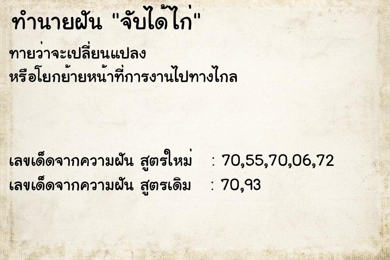 ทำนายฝันจับได้ไก่ ทำนายฝันทำนายฝันจับได้ไก่