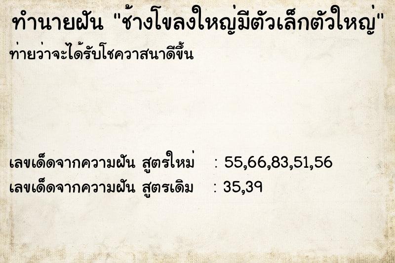 ทำนายฝันช้างโขลงใหญ่มีตัวเล็กตัวใหญ่ ทำนายฝันทำนายฝันช้างโขลงใหญ่มีตัวเล็กตัวใหญ่