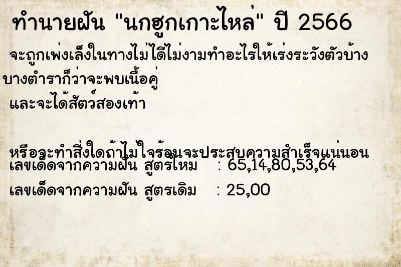 ทำนายฝัน นกฮูกเกาะไหล่ ทำนายฝัน นกฮูกเกาะไหล่