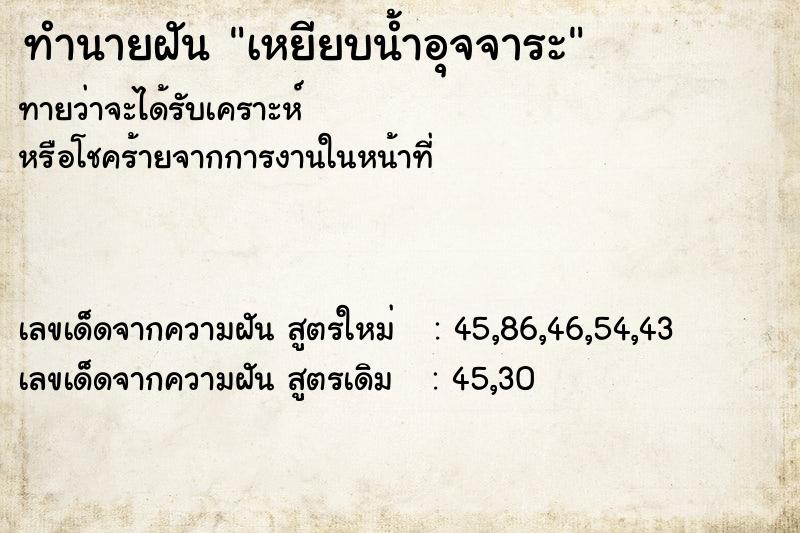 ทำนายฝันเหยียบน้ำอุจจาระ ทำนายฝันทำนายฝันเหยียบน้ำอุจจาระ