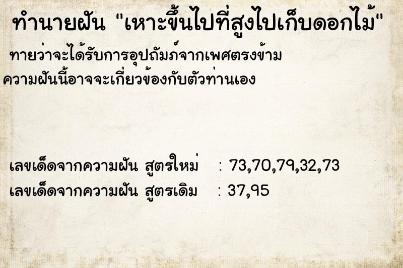 ทำนายฝันเหาะขึ้นไปที่สูงไปเก็บดอกไม้ ทำนายฝันทำนายฝันเหาะขึ้นไปที่สูงไปเก็บดอกไม้