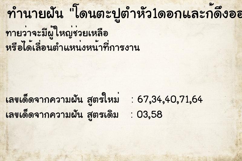 ทำนายฝัน โดนตะปูตำหัว1ดอกและก้ดึงออกที่หัวมีแผล3แผล ทำนายฝัน โดนตะปูตำหัว1ดอกและก้ดึงออกที่หัวมีแผล3แผล
