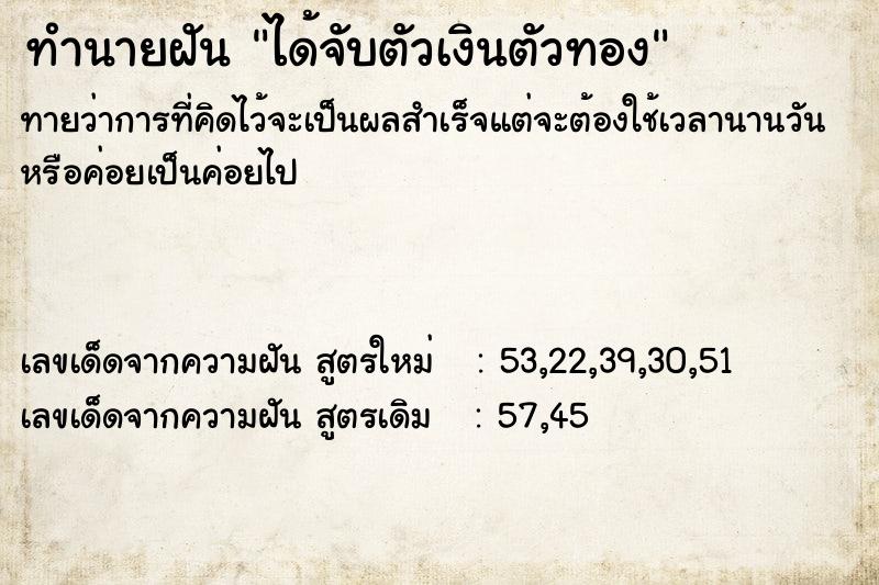 ทำนายฝันได้จับตัวเงินตัวทอง ทำนายฝันทำนายฝันได้จับตัวเงินตัวทอง