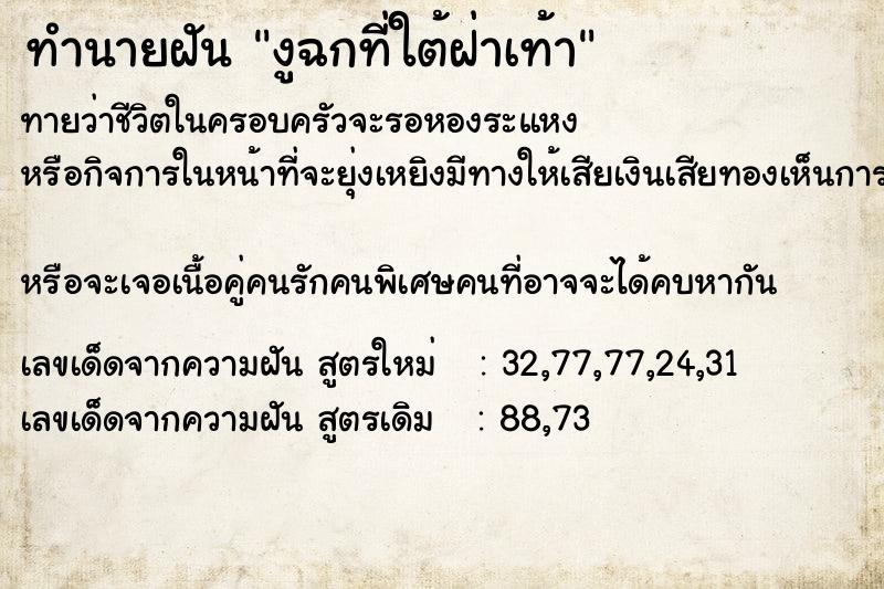 ทำนายฝันงูฉกที่ใต้ฝ่าเท้า ทำนายฝันทำนายฝันงูฉกที่ใต้ฝ่าเท้า