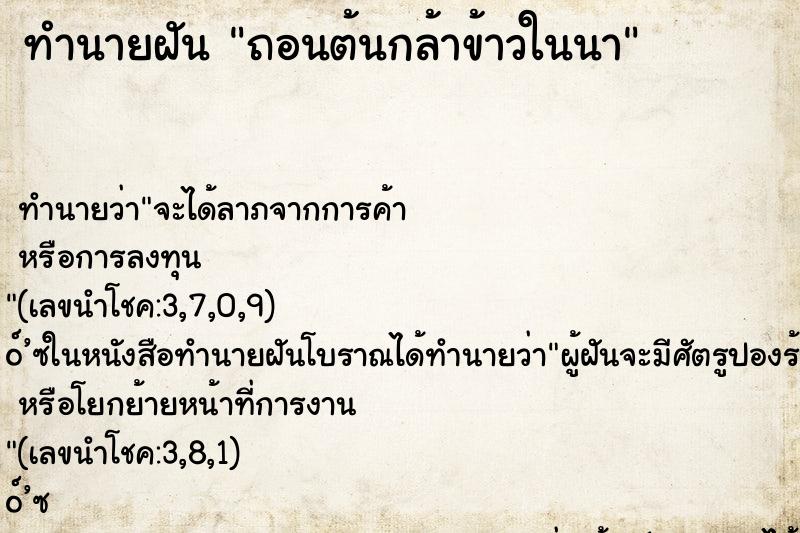 ทำนายฝัน ถอนต้นกล้าข้าวในนา ตำราโบราณ แม่นที่สุดในโลก