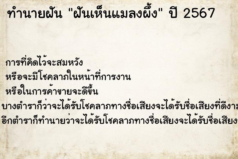 ทำนายฝันฝันเห็นแมลงผึ้ง ทำนายฝันทำนายฝันฝันเห็นแมลงผึ้ง
