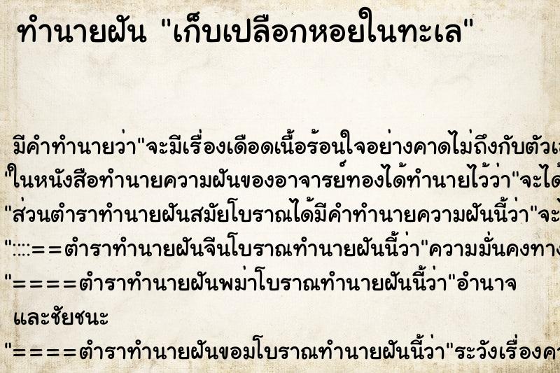 ทำนายฝัน เก็บเปลือกหอยในทะเล ทำนายฝัน เก็บเปลือกหอยในทะเล