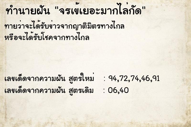 ทำนายฝันจรเข้เยอะมากไล่กัด ทำนายฝันทำนายฝันจรเข้เยอะมากไล่กัด