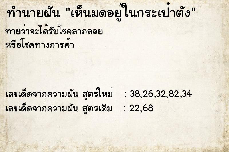 ทำนายฝันเห็นมดอยู่ในกระเป๋าตัง ทำนายฝันทำนายฝันเห็นมดอยู่ในกระเป๋าตัง