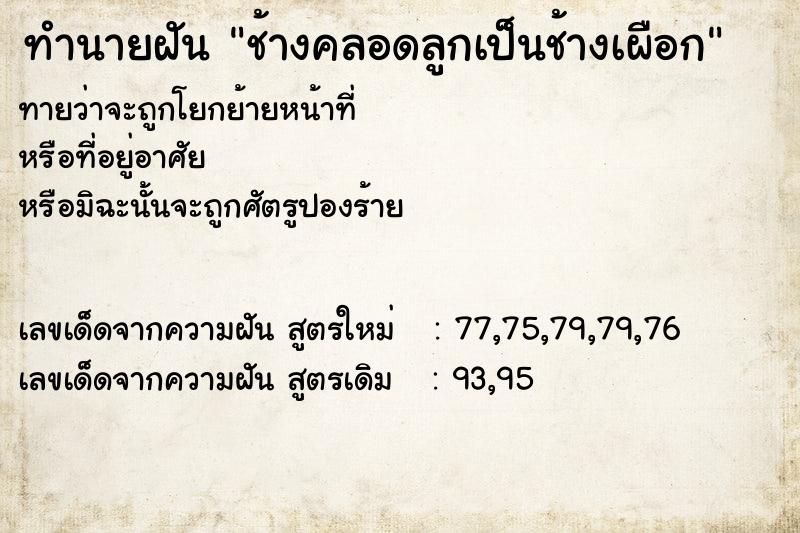 ทำนายฝันช้างคลอดลูกเป็นช้างเผือก ทำนายฝันทำนายฝันช้างคลอดลูกเป็นช้างเผือก