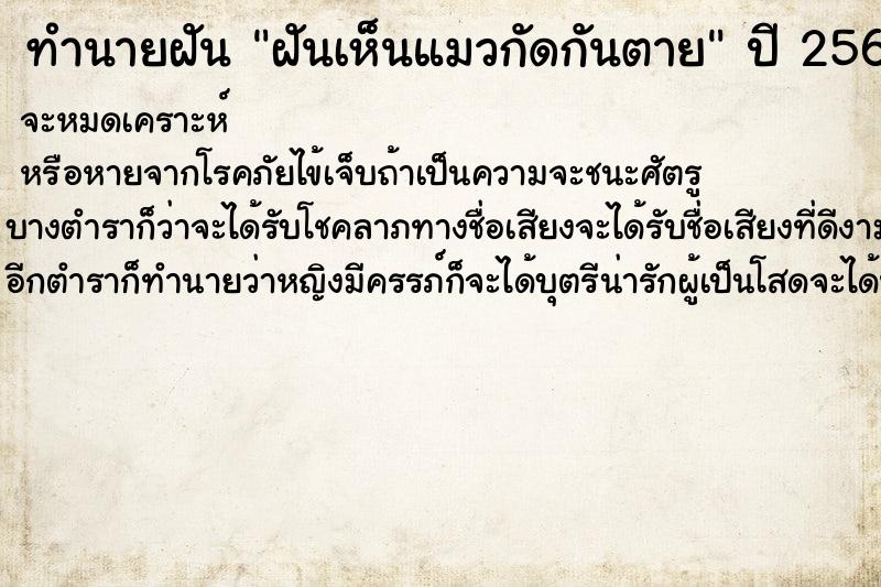 ทำนายฝันฝันเห็นแมวกัดกันตาย ทำนายฝันทำนายฝันฝันเห็นแมวกัดกันตาย