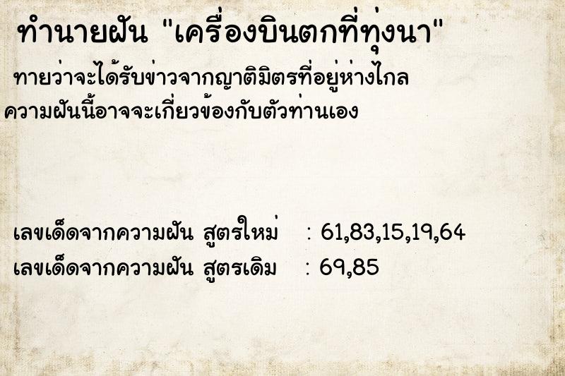 ทำนายฝันทำนายฝันเครื่องบินตกที่ทุ่งนา