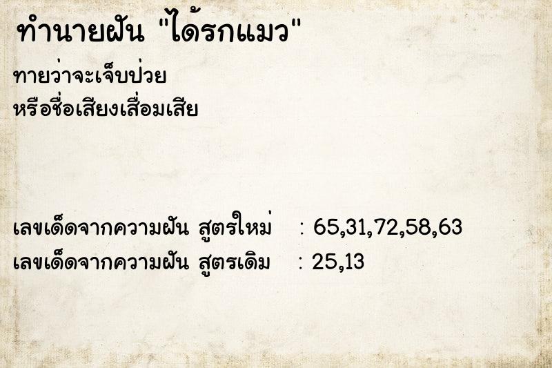 ทำนายฝัน ได้รกแมว ทำนายฝัน ได้รกแมว