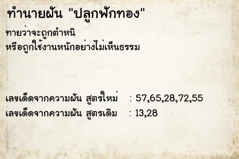 ทำนายฝัน ปลูกฟักทอง ทำนายฝัน ปลูกฟักทอง