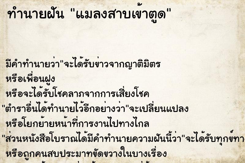 ทำนายฝัน แมลงสาบเข้าตูด ทำนายฝัน แมลงสาบเข้าตูด