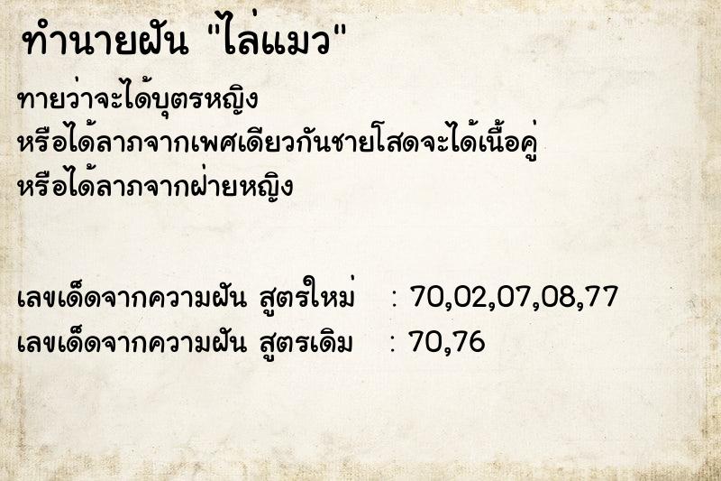 ทำนายฝัน ไล่แมวแม่นๆ ฟรี ด้วยตำราหนังสือทำนายฝันโบราณ ทำนายฝันไล่แมว